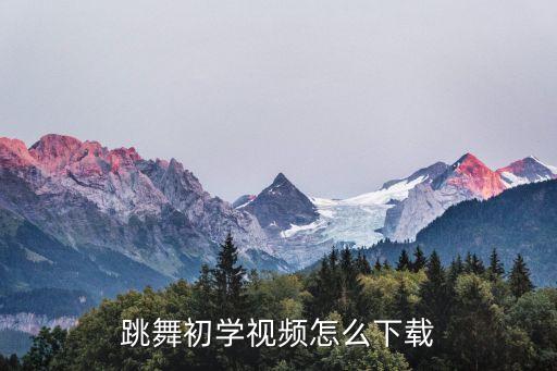 跳舞初学视频怎么下载