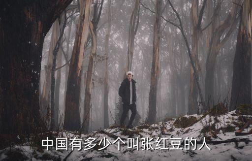 中国有多少个叫张红豆的人