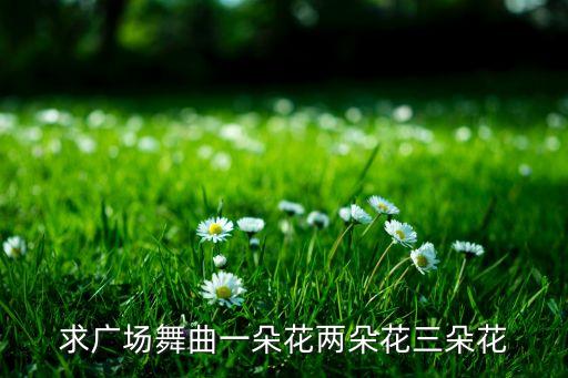 求广场舞曲一朵花两朵花三朵花