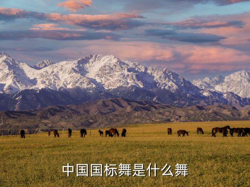 什么是什么舞，什么叫做什么叫民族舞