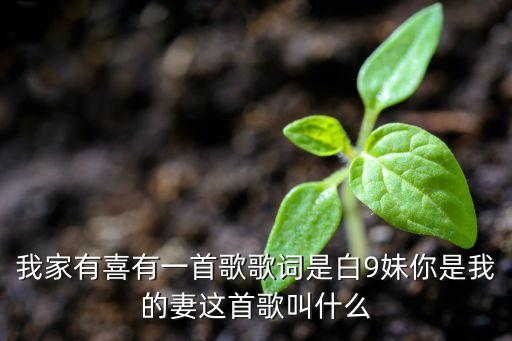 白九妹你是我的妻什么歌，我家有喜有一首歌歌词是白9妹你是我的妻这首歌叫什么