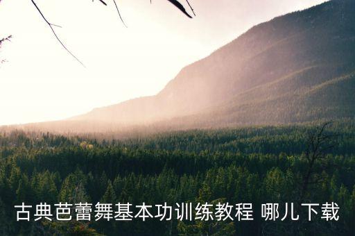 古典芭蕾舞基本功训练教程 哪儿下载