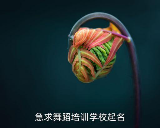 舞蹈艺术培训学校名字怎么取，急求舞蹈培训学校起名