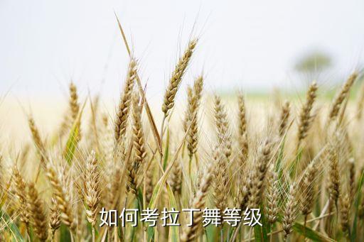 拉丁舞考级准备什么，拉丁舞考级需要哪些步骤铜牌级都要考啥分别考什么如题 谢谢了