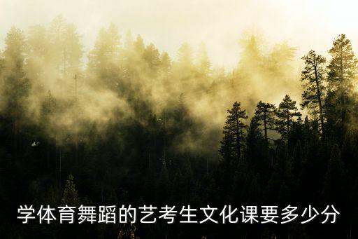 高考舞蹈特长生多少分，学体育舞蹈的艺考生文化课要多少分