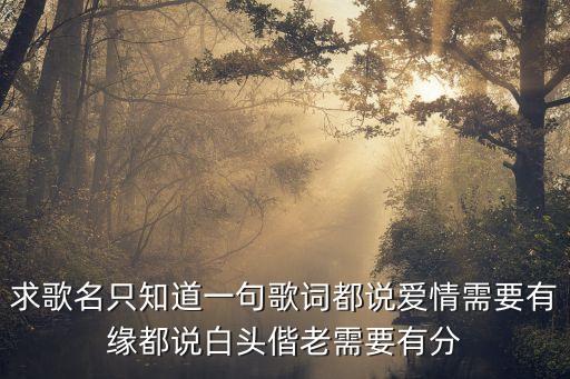 求歌名只知道一句歌词都说爱情需要有缘都说白头偕老需要有分