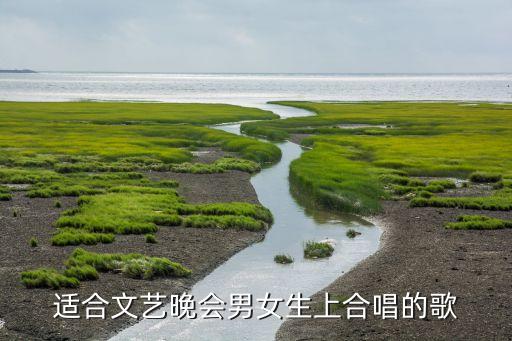 适合文艺晚会男女生上合唱的歌