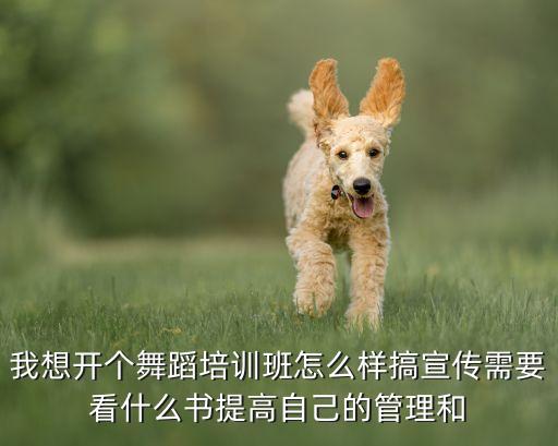我想开个舞蹈培训班怎么样搞宣传需要看什么书提高自己的管理和