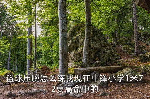 篮球压腕怎么练我现在中锋小学1米72要高命中的