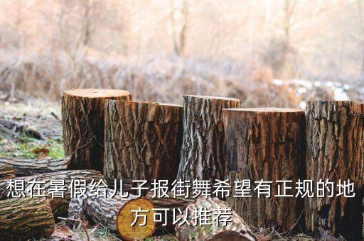 想在暑假给儿子报街舞希望有正规的地方可以推荐