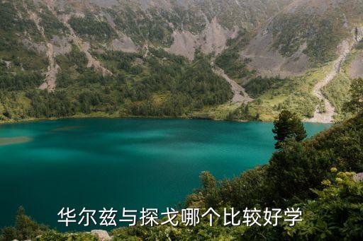 华尔兹和探戈哪个好学，华尔兹与探戈哪个比较好学
