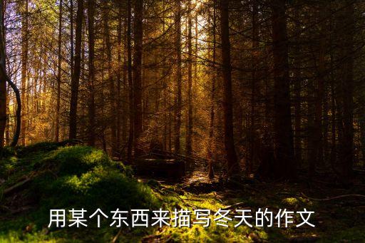 用某个东西来描写冬天的作文