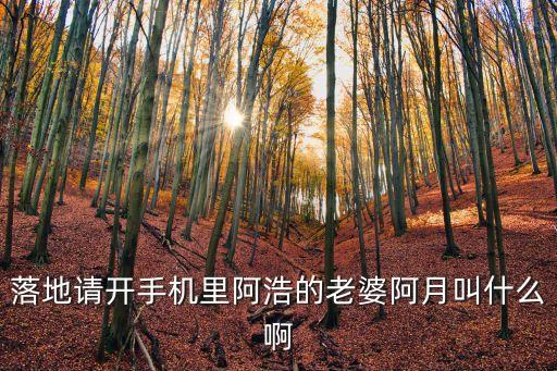 落地请开手机里阿浩的老婆阿月叫什么啊