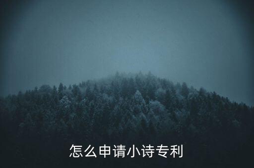 怎么申请小诗专利