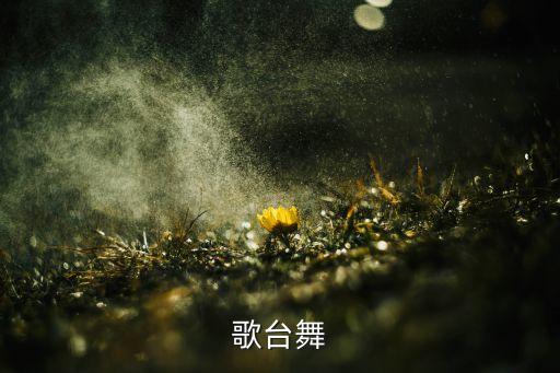 台舞是什么舞蹈，歌台舞