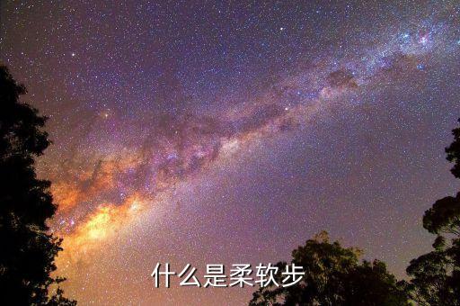 什么是柔软步