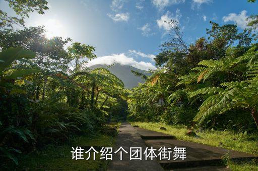谁介绍个团体街舞