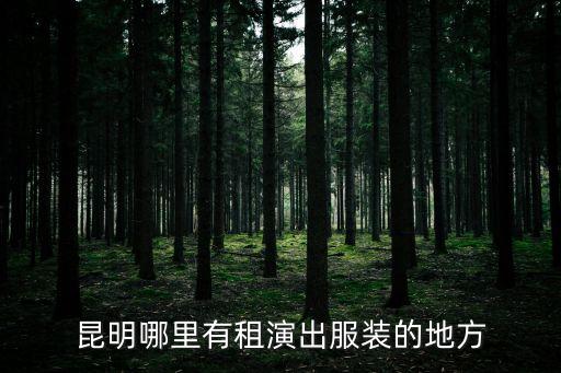 昆明哪里有租演出服装的地方