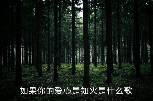 爱如火小学生舞蹈完整版教程，有没有简单点适合小学生的舞蹈
