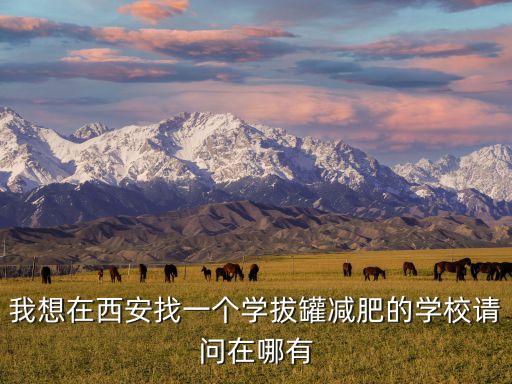 我想在西安找一个学拔罐减肥的学校请问在哪有