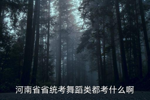 河南省省统考舞蹈类都考什么啊