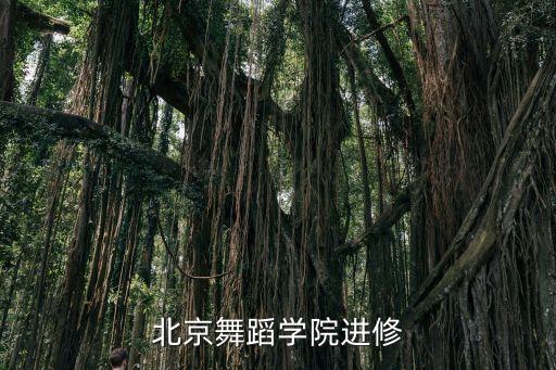 北京舞蹈学院进修