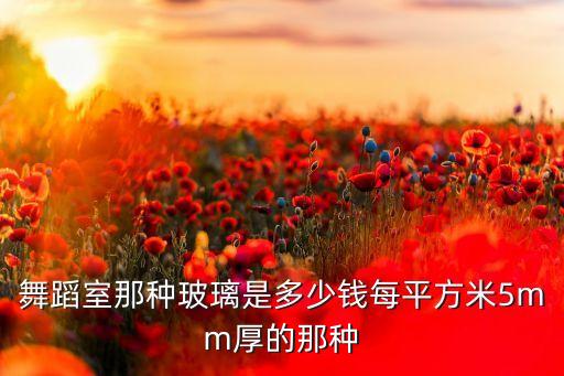 舞蹈室那种玻璃是多少钱每平方米5mm厚的那种