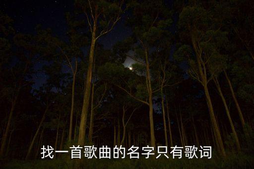 找一首歌曲的名字只有歌词