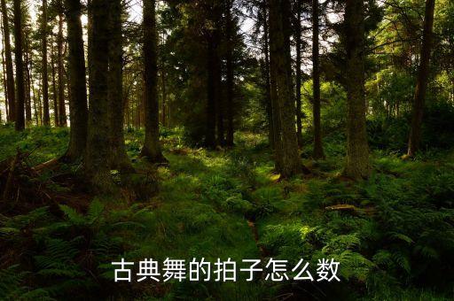古典舞的拍子怎么数