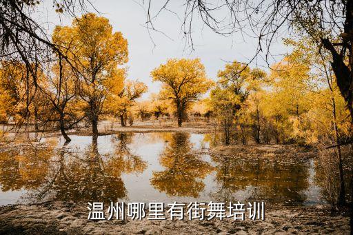 温州哪里有街舞培训