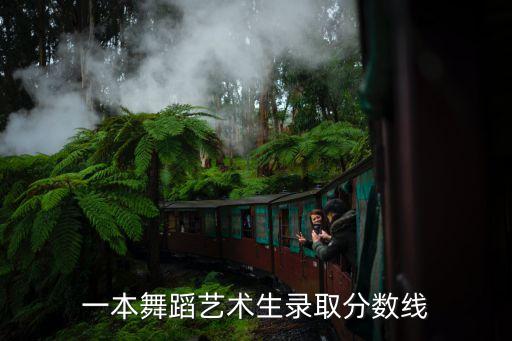 一本舞蹈艺术生录取分数线