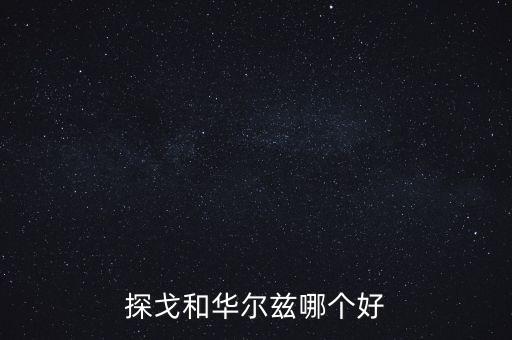 探戈和华尔兹哪个好
