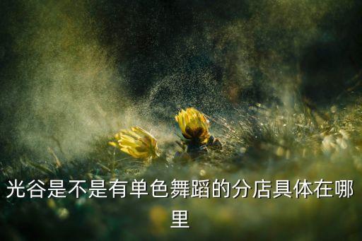光谷是不是有单色舞蹈的分店具体在哪里