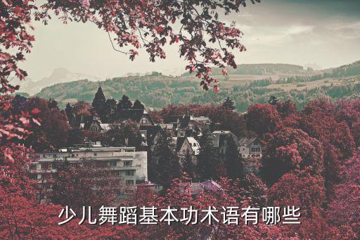 少儿舞蹈基本功术语有哪些