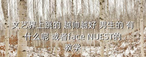 男士学什么舞蹈视频教学视频，文艺界上跳的 越帅越好 男生的 有什么呢 或者face NUEST的教学
