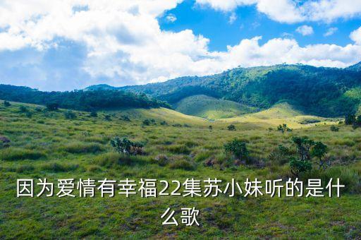 快乐至高无上 是什么歌，刘德华的至高无上里的歌叫什么