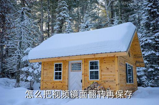 怎么把视频镜面翻转再保存