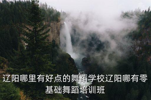 鲁山哪个舞校好点，平顶山鲁山有没有学国标舞的