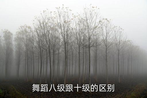 舞蹈八级跟十级的区别
