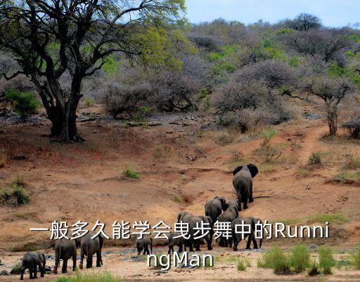一般多久能学会曳步舞中的RunningMan