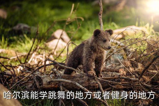 哈尔滨能学跳舞的地方或者健身的地方