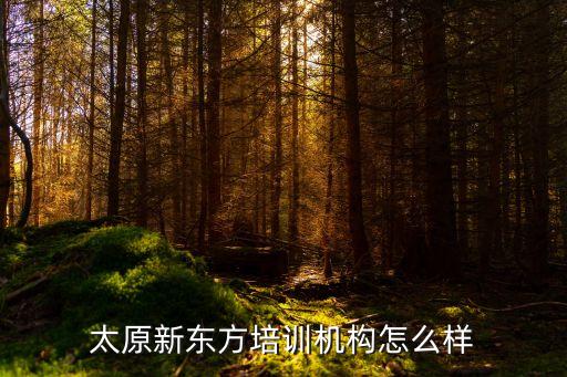 太原新东方培训机构怎么样