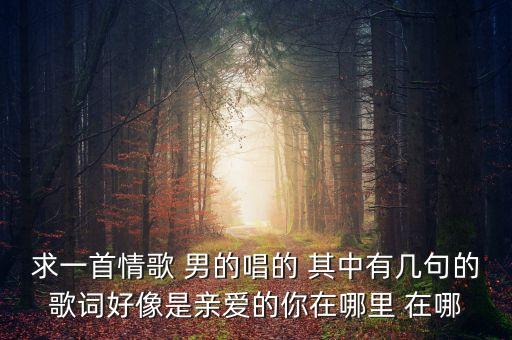 求一首情歌 男的唱的 其中有几句的歌词好像是亲爱的你在哪里 在哪