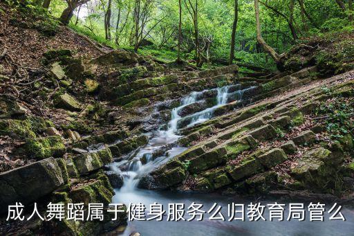 成人舞蹈属于健身服务么归教育局管么