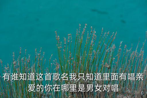 情歌对唱亲爱的你在哪里，有谁知道这首歌名我只知道里面有唱亲爱的你在哪里是男女对唱