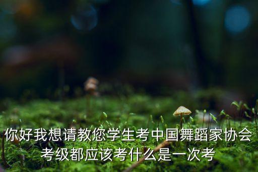 你好我想请教您学生考中国舞蹈家协会考级都应该考什么是一次考