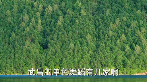 单色舞蹈武汉有哪些店，江汉路那家单色舞蹈培训在哪里