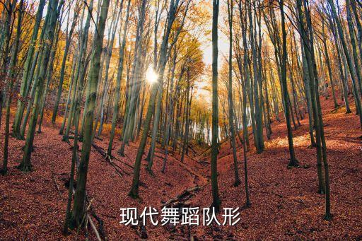 三个人跳舞排什么队形，现代舞蹈队形