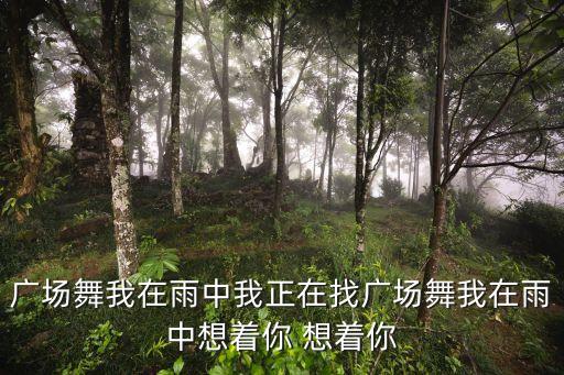 广场舞我在雨中我正在找广场舞我在雨中想着你 想着你