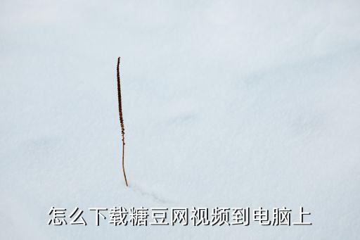 糖豆怎么录制视频怎么下载，糖豆的视频怎么下载